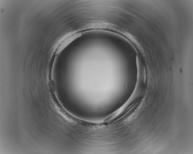 X0000068310846200604211202