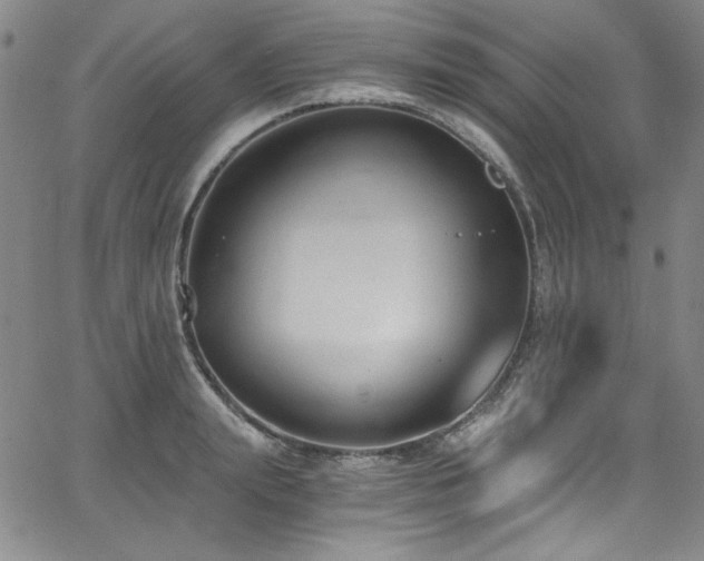 X0000068310847200604211202