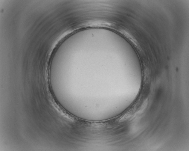 X0000068310848200604211202