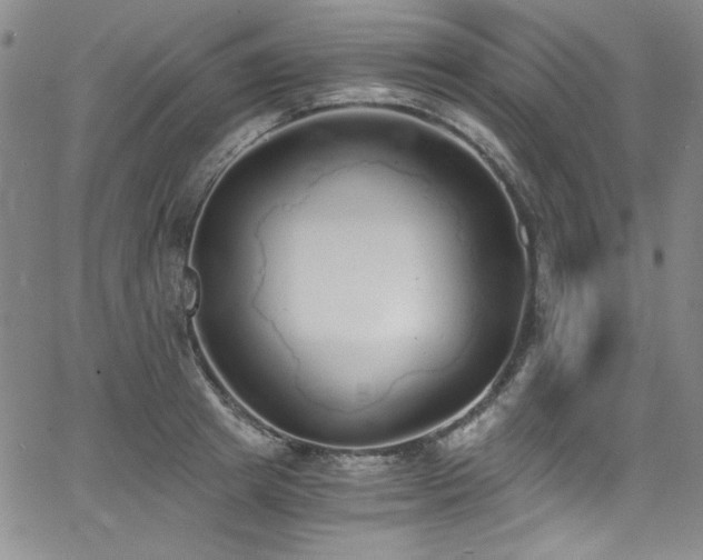 X0000068310849200604211202