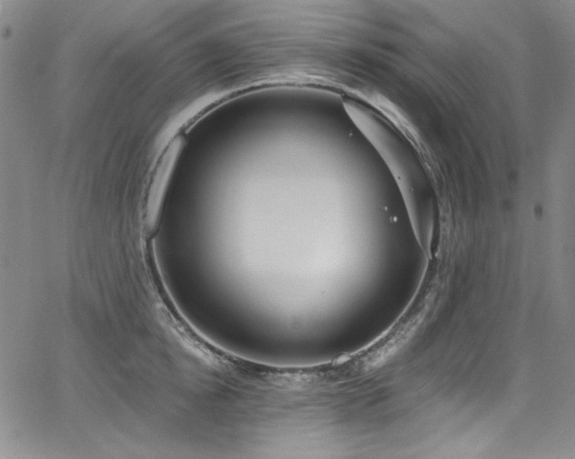 X0000068310854200604211202