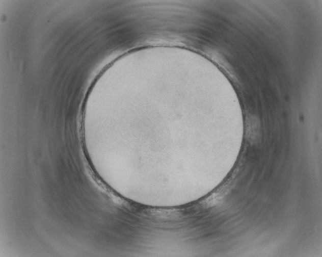 X0000068310856200604211202