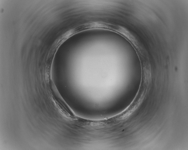 X0000068310857200604211202