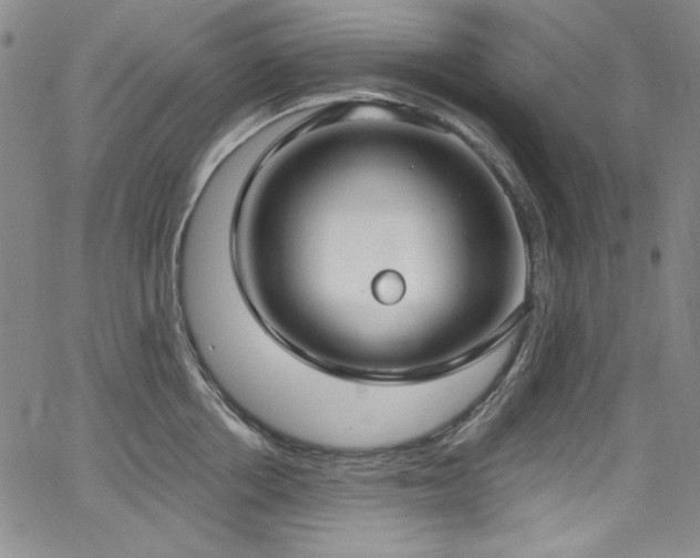 X0000068310858200604211202