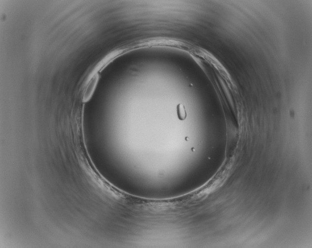 X0000068310860200604211202