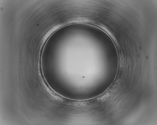 X0000068310861200604211202