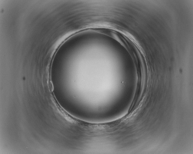 X0000068310862200604211202