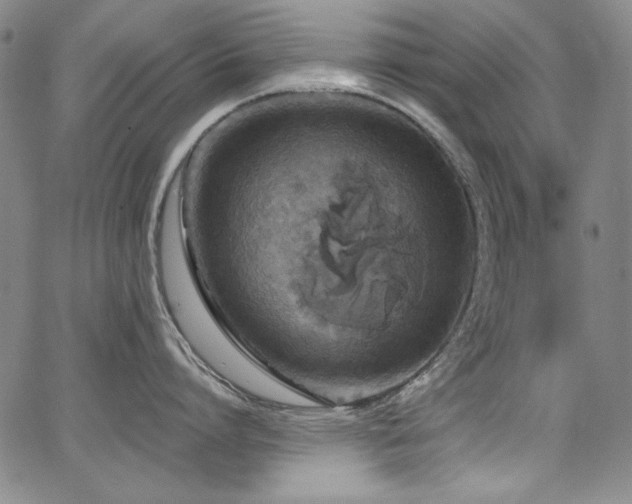 X0000068310864200604211202