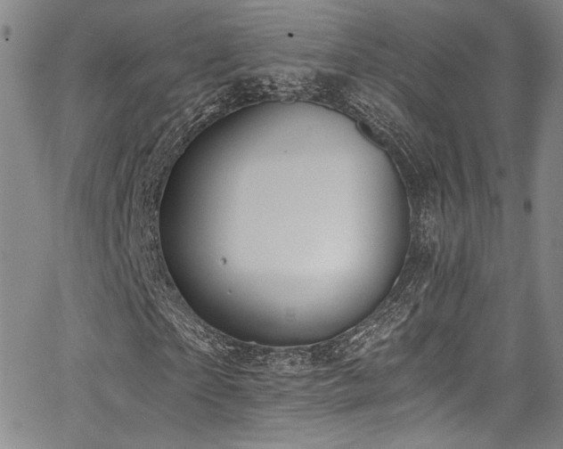 X0000068310865200604211201