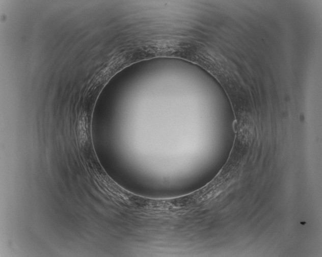 X0000068310866200604211201