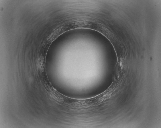 X0000068310867200604211201