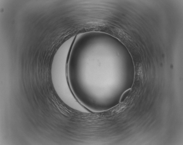 X0000068310868200604211201