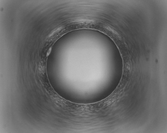 X0000068310869200604211201