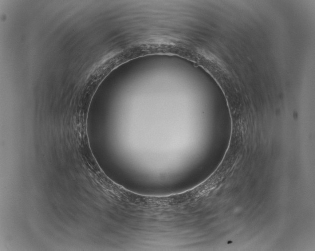 X0000068310870200604211201