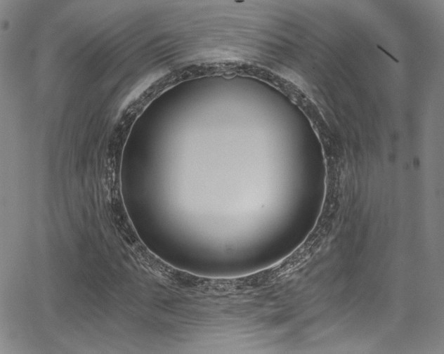 X0000068310871200604211201