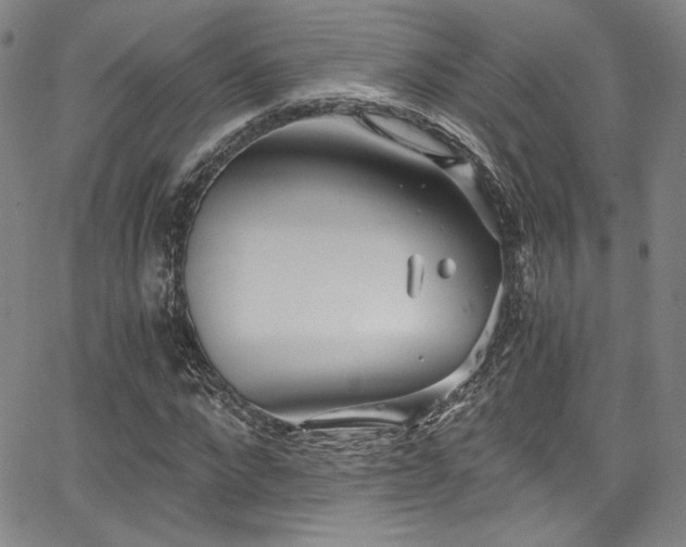 X0000068310872200604211201