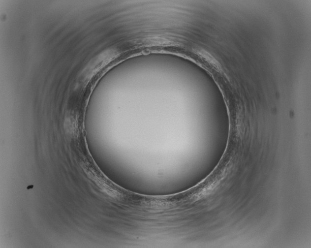 X0000068310873200604211201