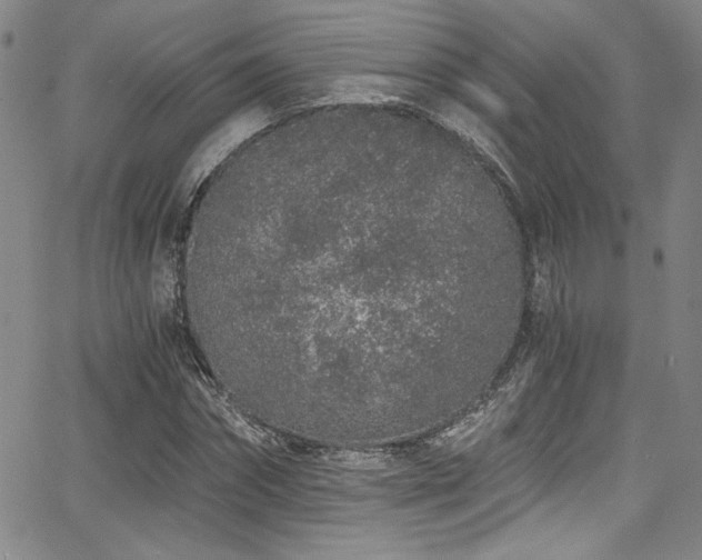 X0000068310874200604211201