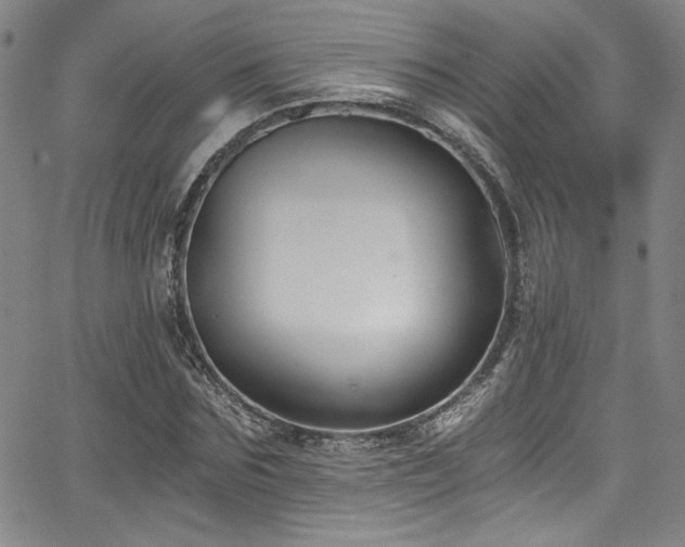 X0000068310875200604211201