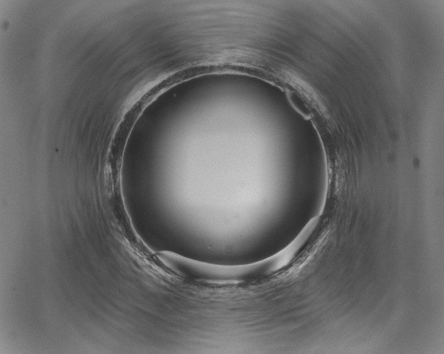 X0000068310876200604211201