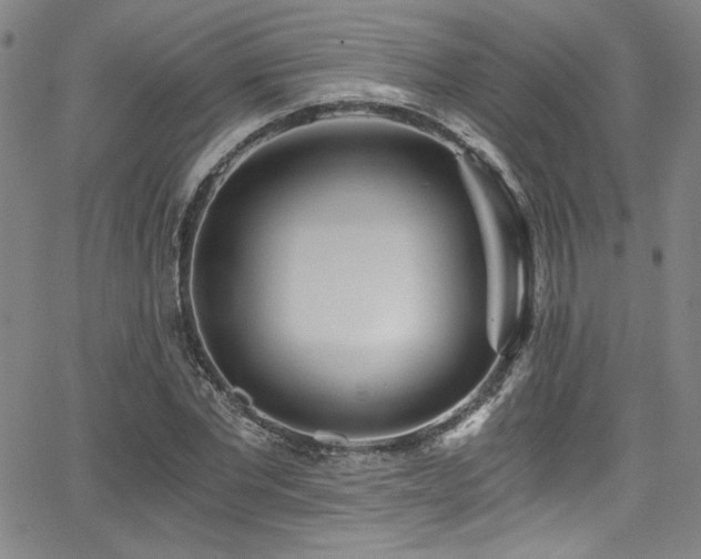 X0000068310877200604211201