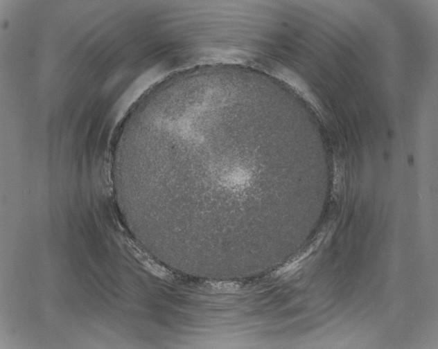 X0000068310878200604211201