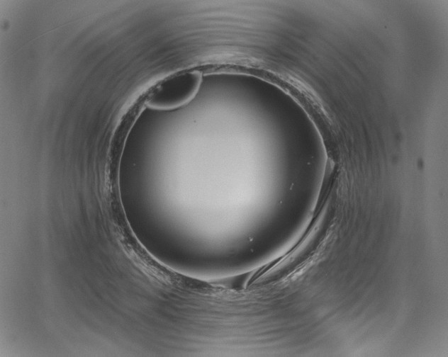 X0000068310880200604211201