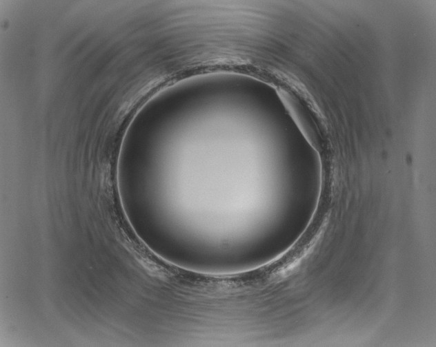 X0000068310881200604211201