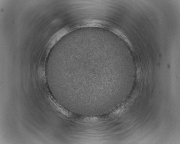 X0000068310882200604211201