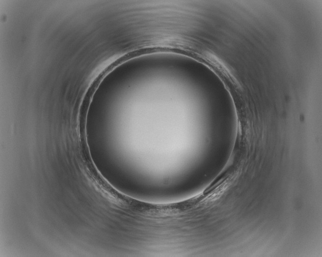 X0000068310884200604211201