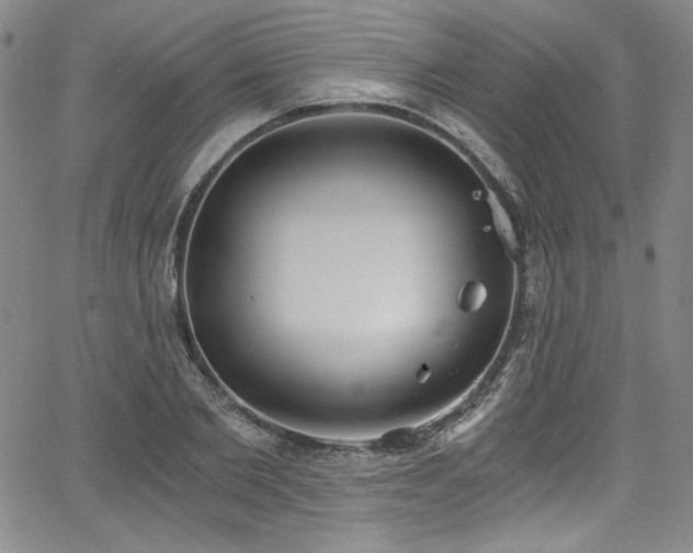 X0000068310885200604211201