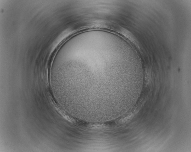 X0000068310886200604211201