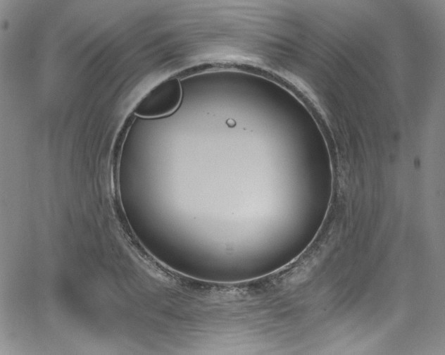 X0000068310887200604211201