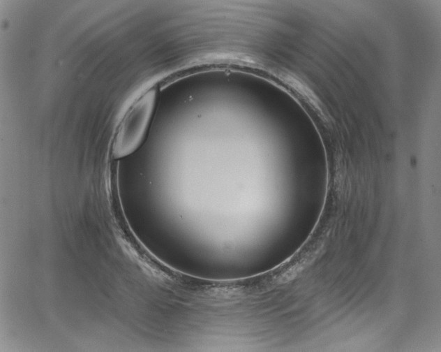 X0000068310888200604211201