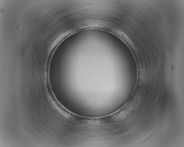 X0000068310890200604211201