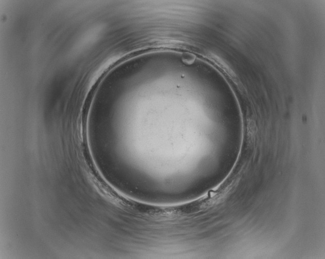 X0000068310891200604211201