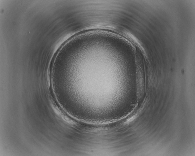 X0000068310892200604211201