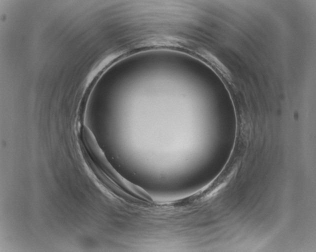 X0000068310893200604211201