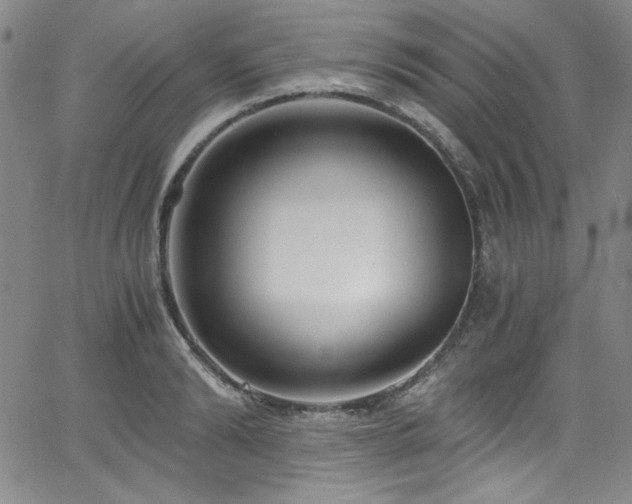 X0000068310894200604211201