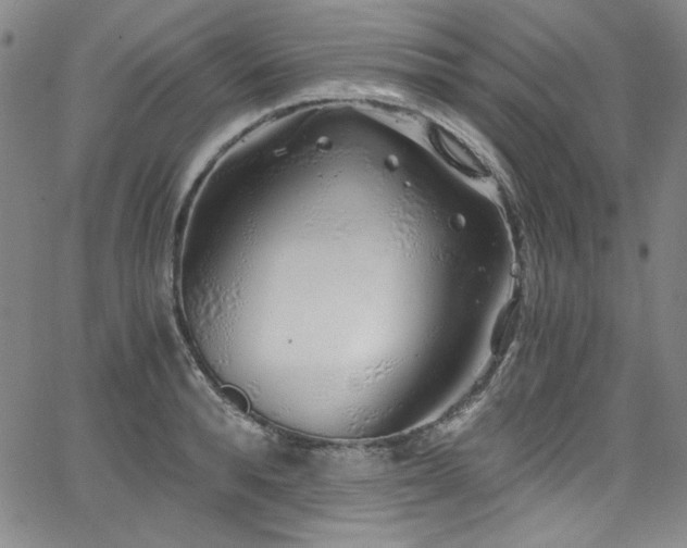 X0000068310896200604211201