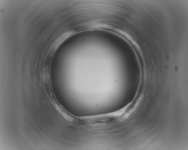 X0000068310897200604211201