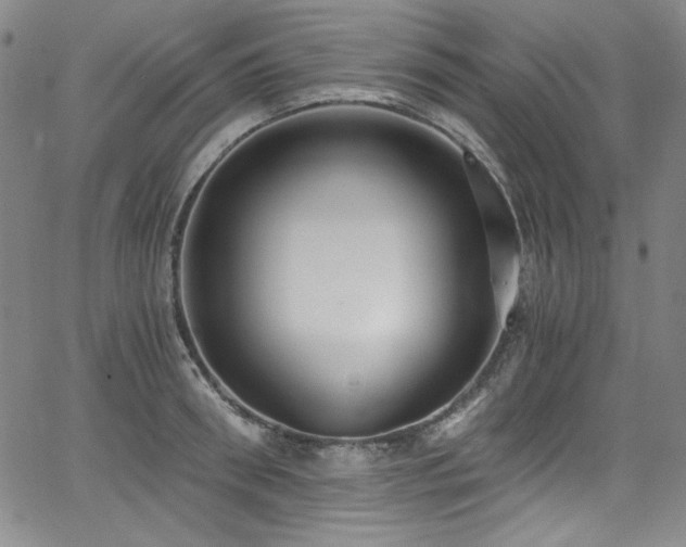 X0000068310898200604211201