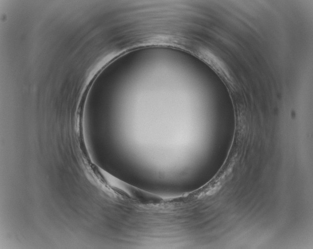 X0000068310900200604211201