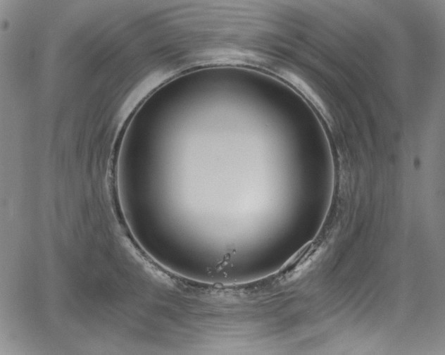 X0000068310901200604211201