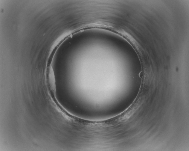 X0000068310902200604211201