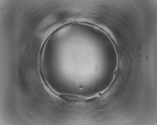 X0000068310903200604211201