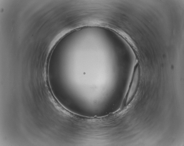 X0000068310904200604211201