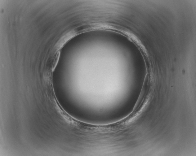 X0000068310905200604211201