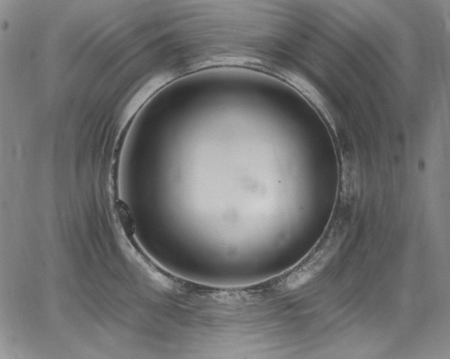 X0000068310906200604211201