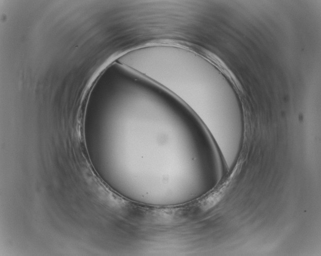 X0000068310908200604211201